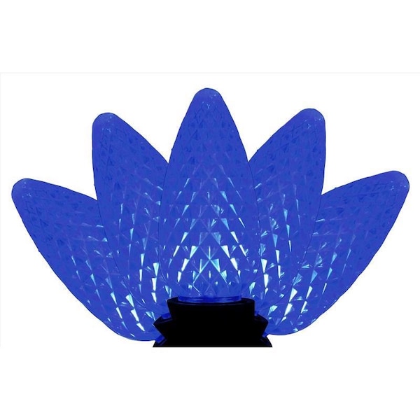 Celebrations Celebrations Platinum LED C9 Blue 25 ct String Christmas Lights 25 ft. C925FBLA - main